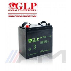 Акумулаторна тягова батерия GLP AGM - 55Ah 12V 