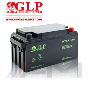 Акумулаторна тягова батерия GLP AGM - 65Ah 12V 